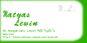 matyas lewin business card